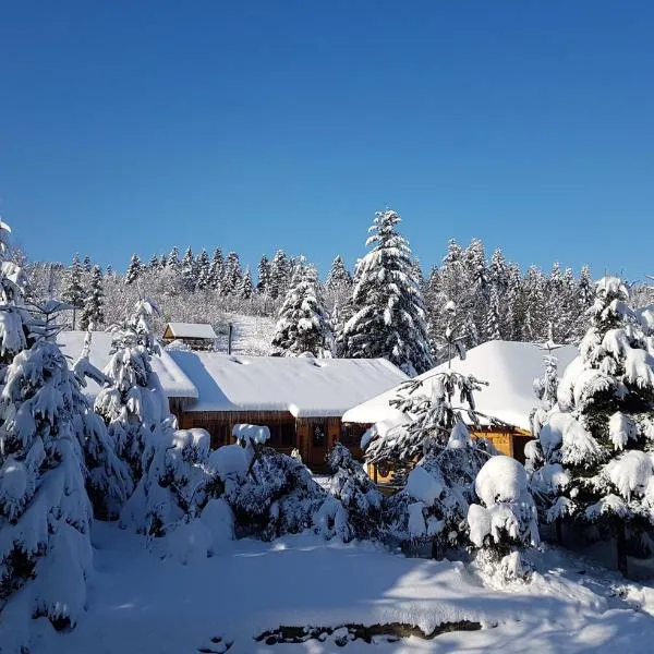 Відпочинково- оздоровчий комплекс ОПАКА з форельником, hotel in Skhidnitsa