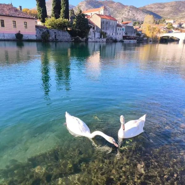 Apartment Marija, hotel in Trebinje