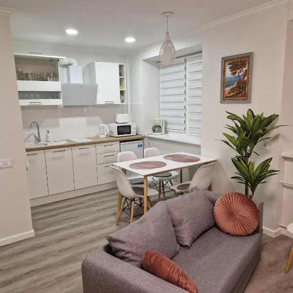 Studio seaside apartment, ξενοδοχείο στη Λιέπαγια