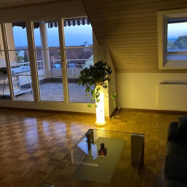 1 WG Zimmer, Wohnzimmer mit Kamin, Küche voll ausgestattet, großer Balkon mit Ausblick、シャフハウゼンのホテル