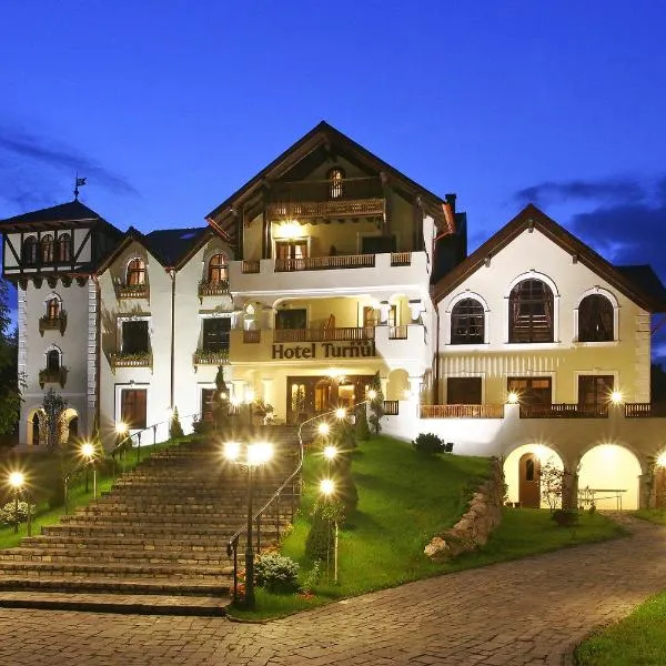 Hotel Turnul, готель у місті Моєчу-де-Жос