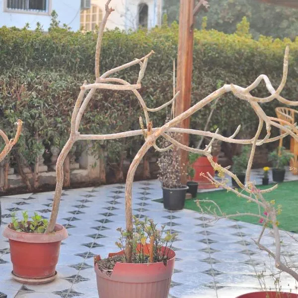 Backpackers, hotel en Sharm El Sheikh