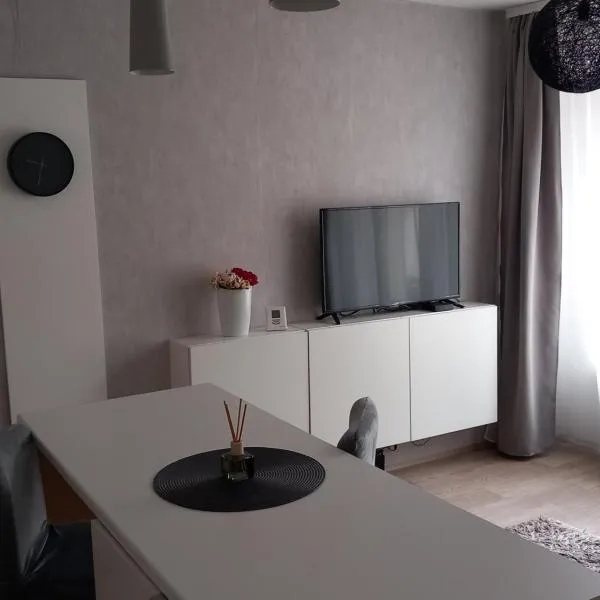 Apartmány Stříbro, hotel ve Stříbře