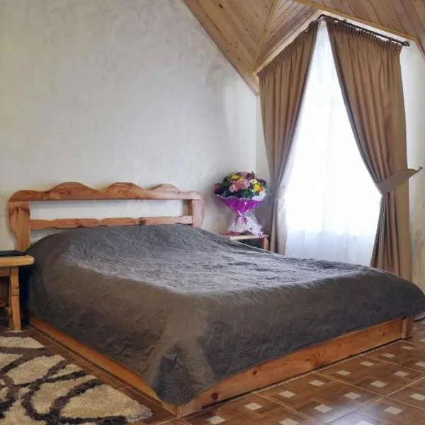 Mini-hotel Yandrusi, hotel v destinaci Kamenec Podolský