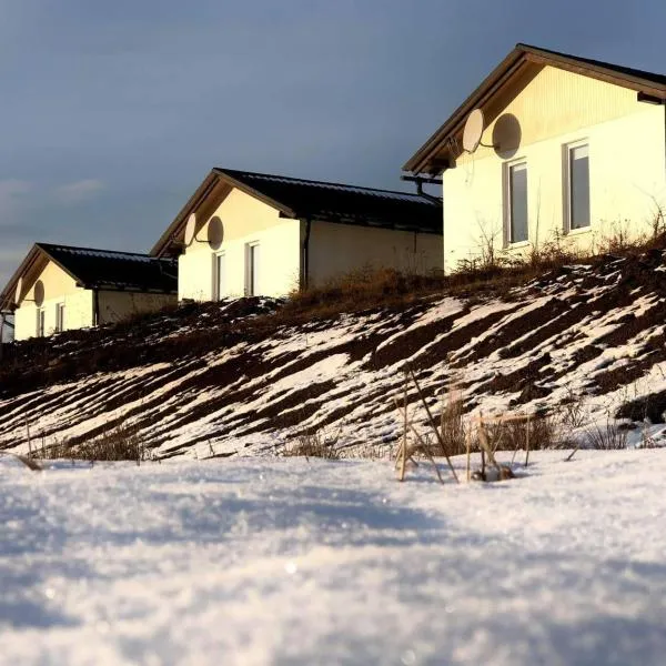 Котеджі Зоряне Небо, hotel v destinaci Bukovel