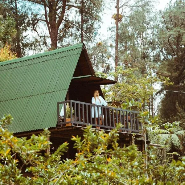 Cardinal Glamping, hotel in Guatapé
