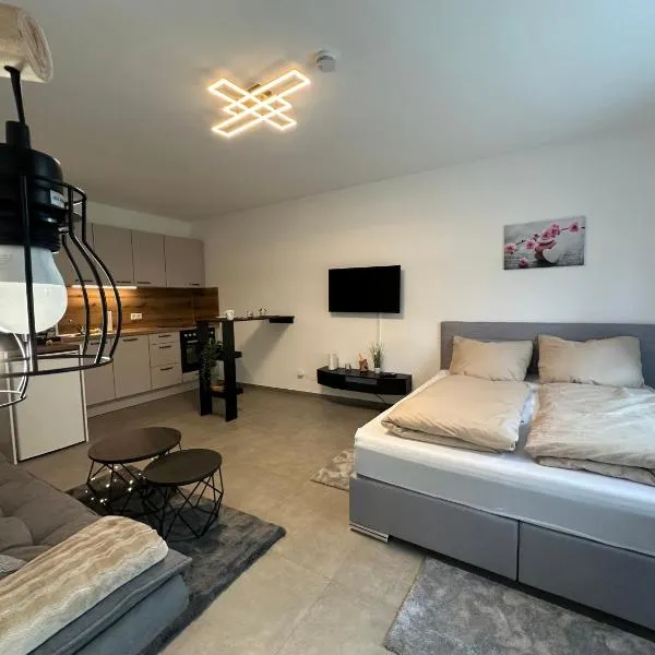modernes Apartment in guter Lage, hotel v destinaci Ingolstadt
