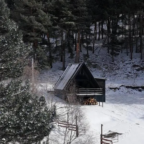 Mountain Waltz, hotel v destinaci Stepancminda
