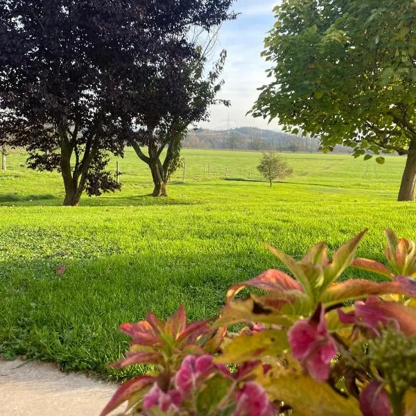 FeWo - Natur, Ruhe und Erholung, hotel a Wangen im Allgäu