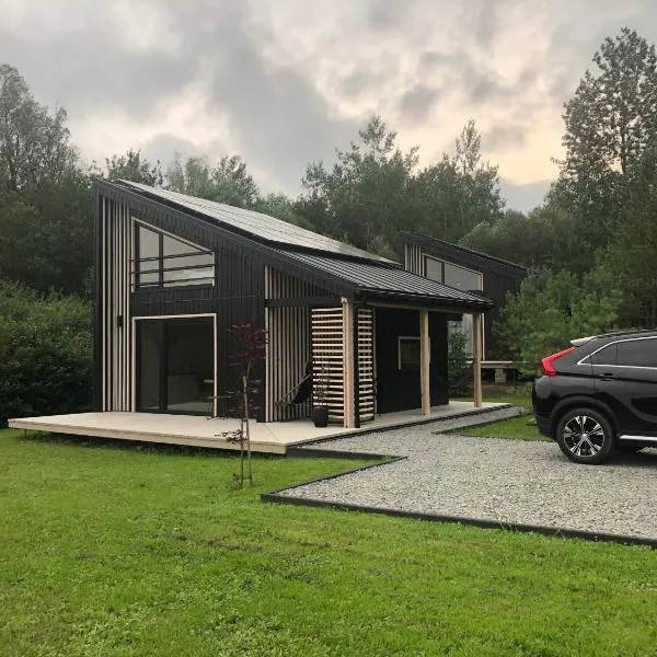 Przylesie Domki, hotel v destinaci Wysoczany