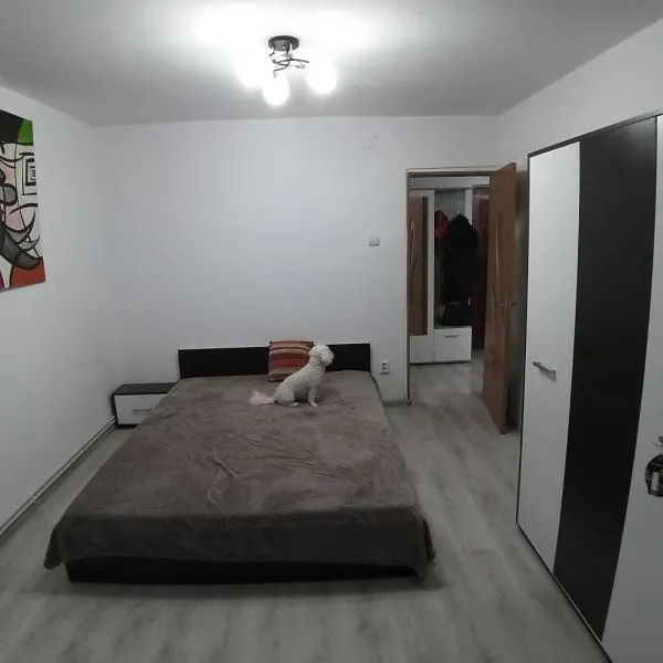 Apartament Ski Straja Lupeni, hotel v destinaci Lupeni