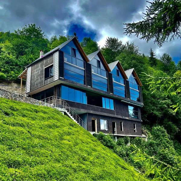 Alfa Dağevleri, hotel v destinaci Rize