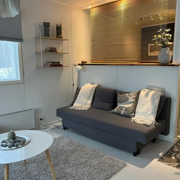 Kolin Pikkukolo - Saunallinen studiohuoneisto, hotel in Kolinkylä
