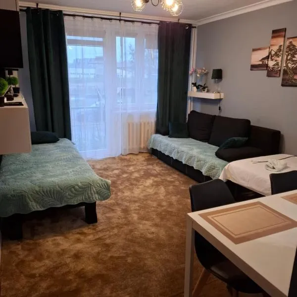 Apartament 22 Stycznia 3、プシェムィシルのホテル