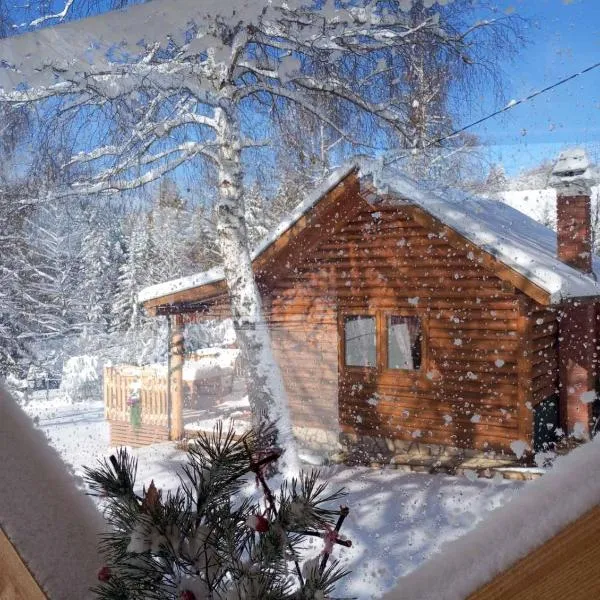 Planinska kuca Ella, ξενοδοχείο σε Jelik