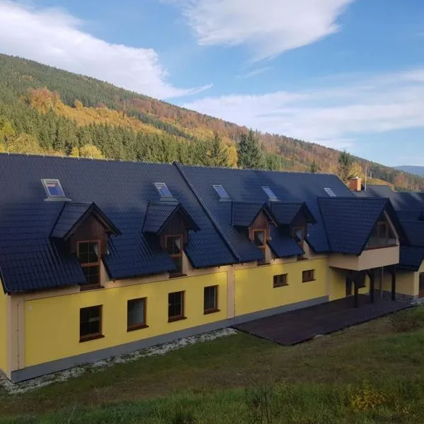 Penzion Přemyslov, hotel in Přemyslov