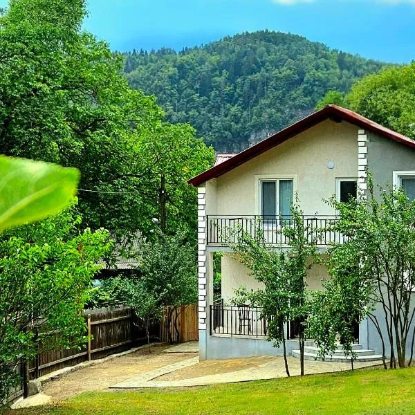 Cottage Timotea, hotel in Borjomi