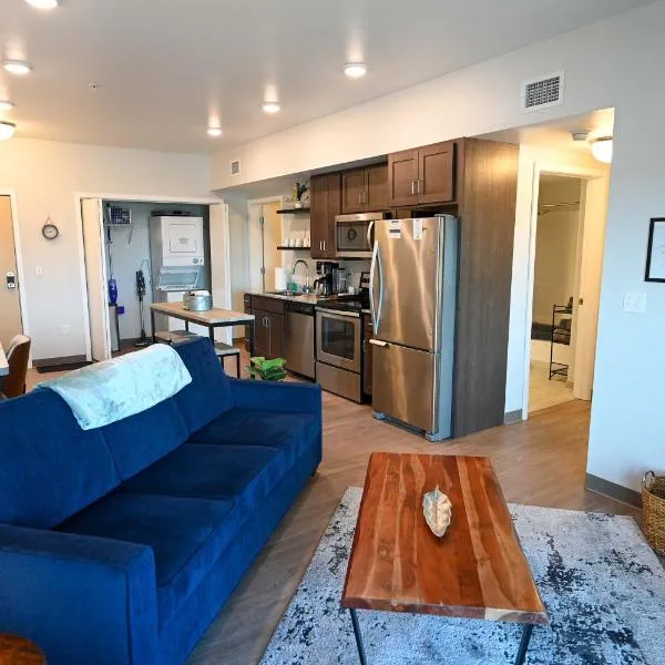 2 Bedroom Brand New Apartment Near Mayo, Park Free, hotel en Rochester