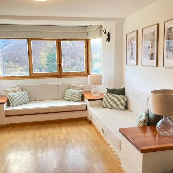 Apartamento en Calle San Jorge, hotel v destinaci Formigal