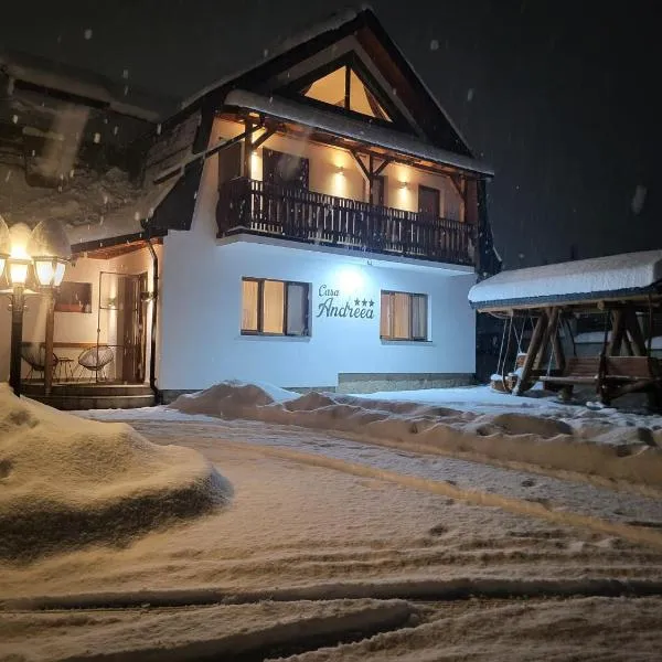 Casa Andreea, hotel a Vatra Dornei