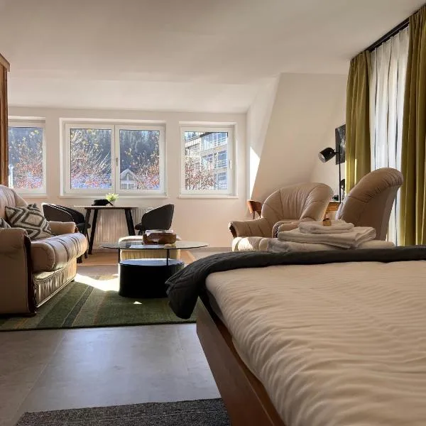 Loft am Park, Hotel in Hermagor