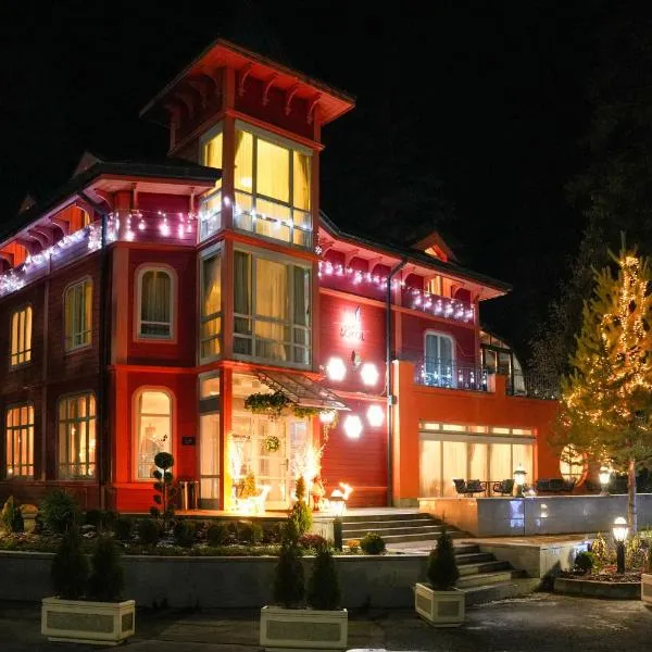 Villa Sokol, hotel Borovecben