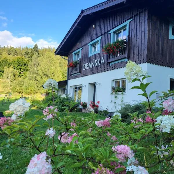 Orańska, hotel v destinaci Miedzygorze