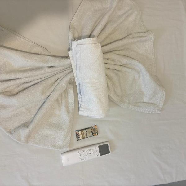 H one Hotel - Foto 2