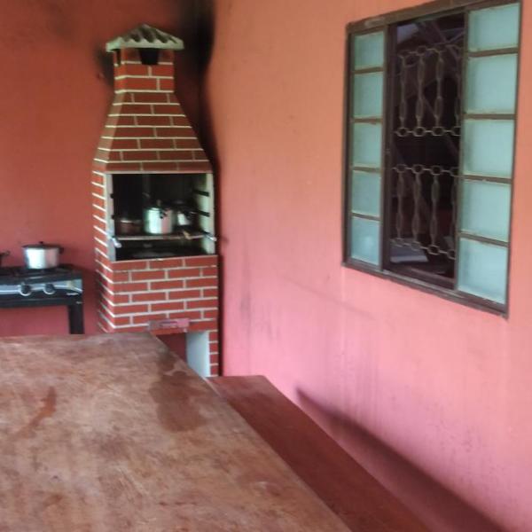 lírios do cerrado - Foto 4