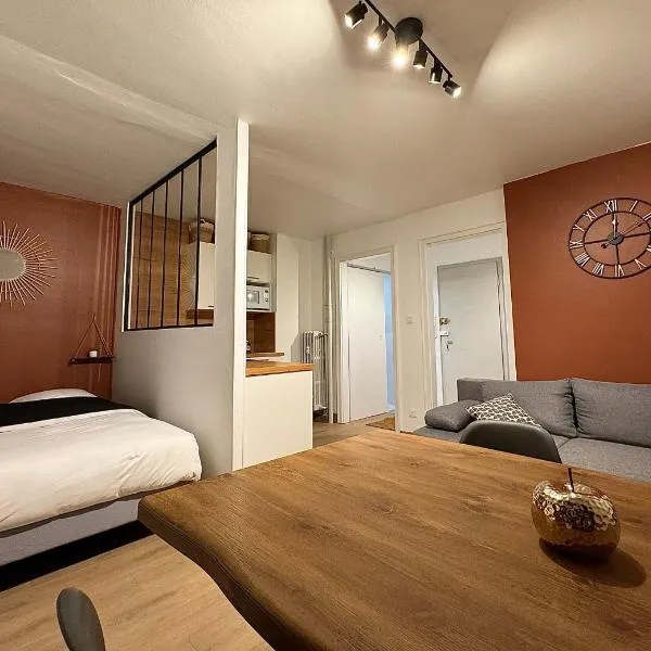 Appartement au centre ville, hotel ve Štrasburku