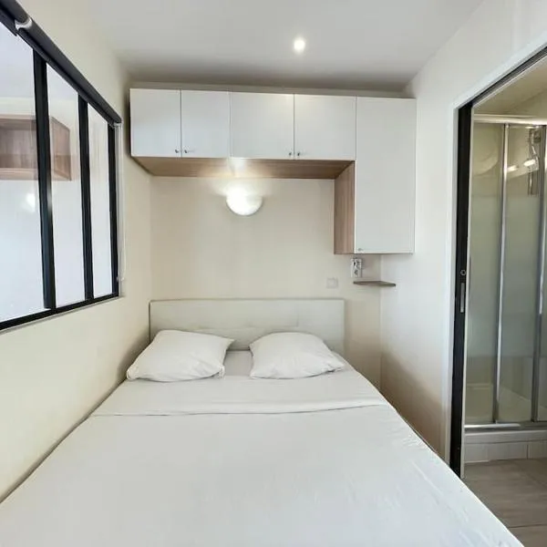 Appart'Village N3 Jouy Proche HEC-RER C 500 m, hotel in Jouy-en-Josas