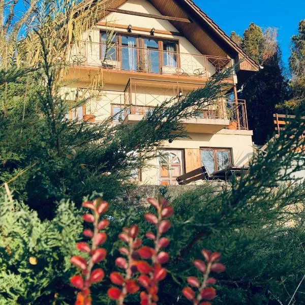 Repülőhal Apartmanház, hotel in Zebegény