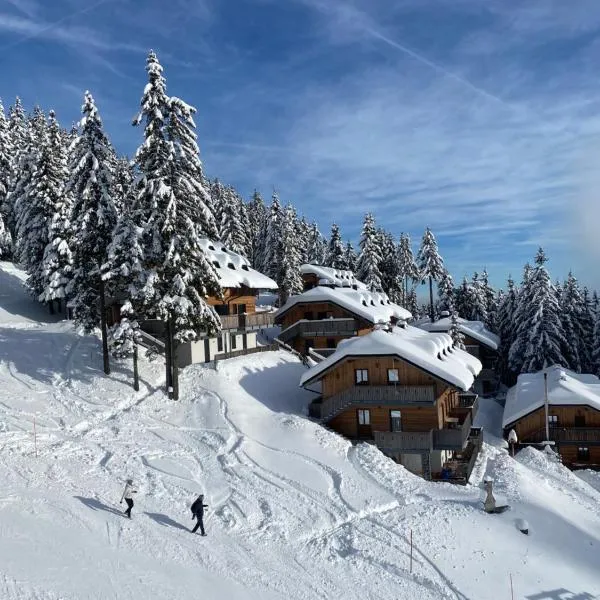 Alpine Escape Golte Apartment, hotel v destinaci Mozirje