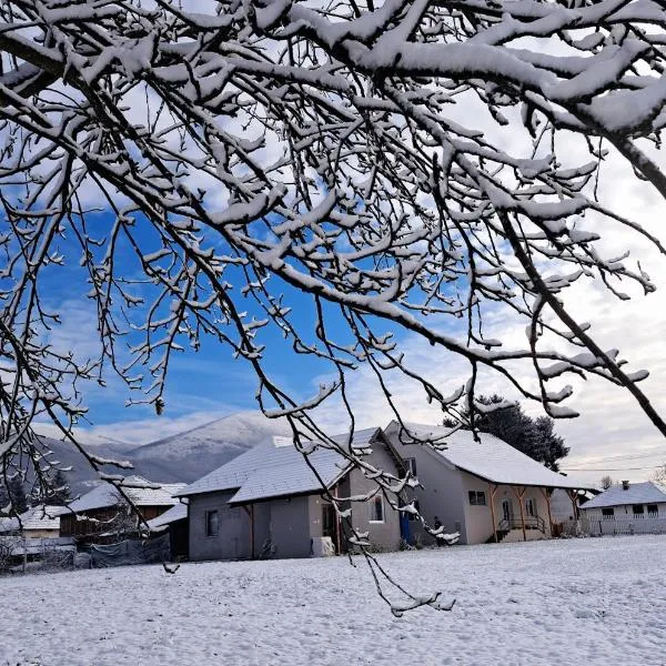 Apartmani Petrović SEMČE Suva Planina, hotel v destinaci Gadžin Han