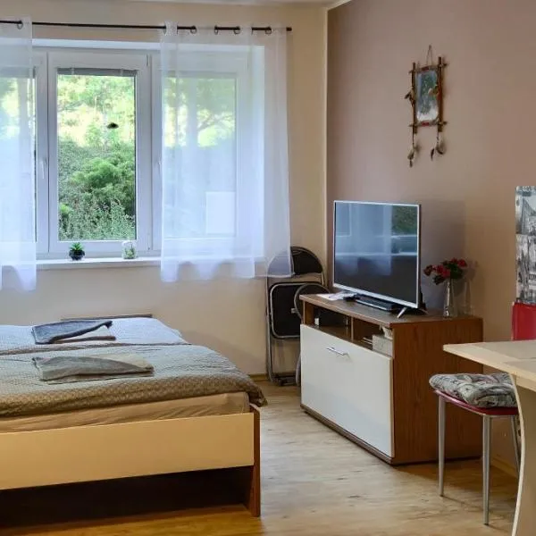 Apartmán Nela, hotel v destinaci Lipno nad Vltavou