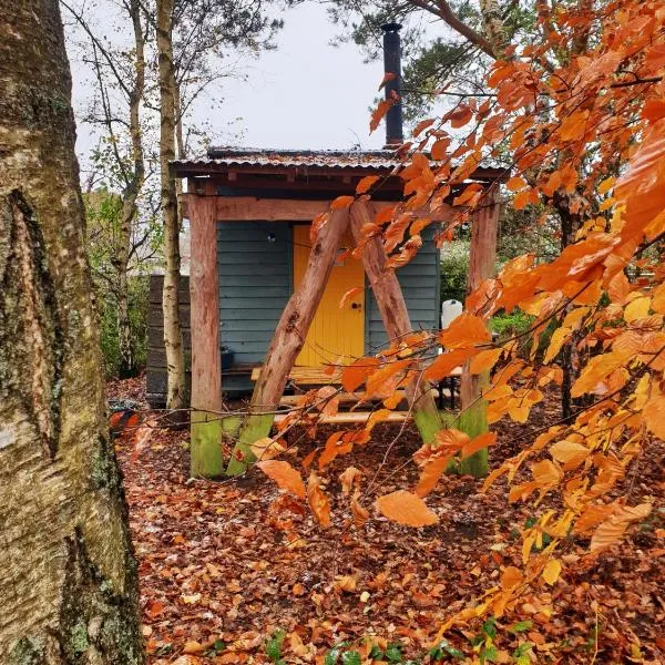 Delightful Shepherd hut, hotel in Graffham
