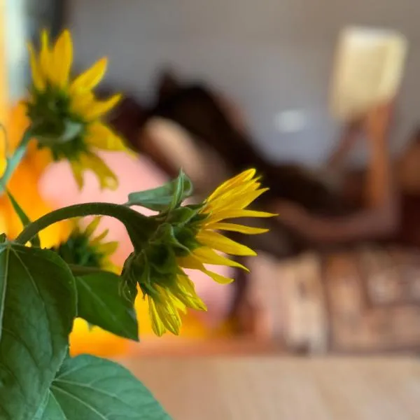 The Village Eco Stay Byron Bay, hotel in Byron Bay