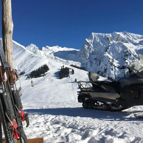 Appartement Coeur De Chalet, hotel v destinaci Manigod