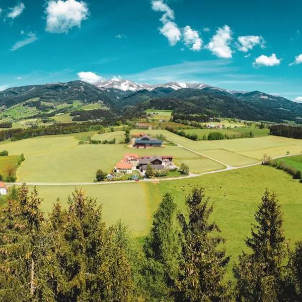 Gesundheitsbauernhof -Landhof - Offenbacher, hotel v destinaci Seckau