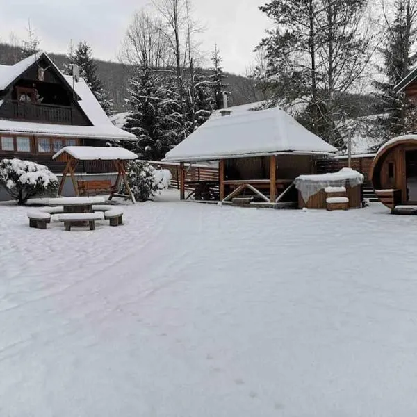 Cabana Cerbul de Aur Sub Cetate (Lacul Zetea), hotel in Sub Cetate