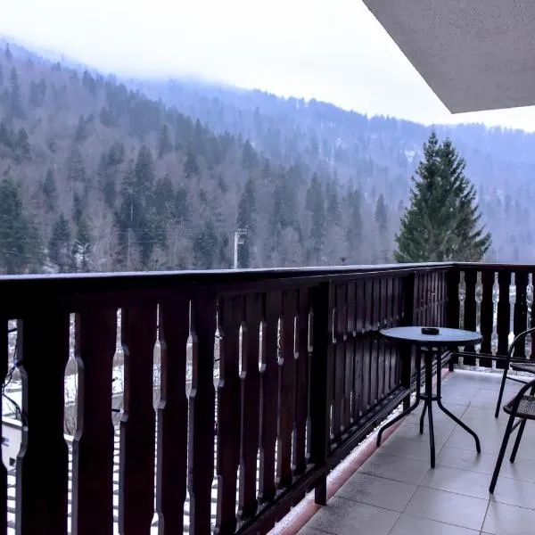 Pensiunea Noni, hotel v destinaci Azuga