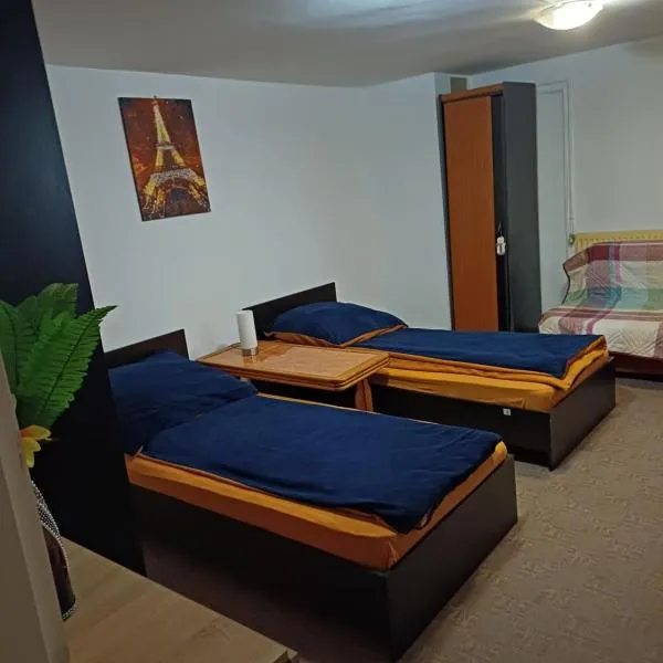 Cameră cu baie, hotel in Timişoara