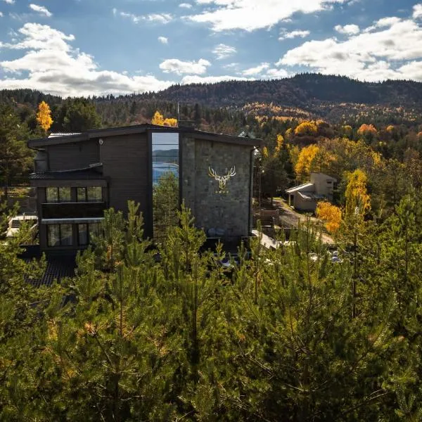 Brentas Spa Resort, hotel in Tsigov Chark