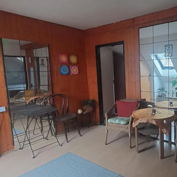 Brno - apartmán v bohémské čtvrti Kamenka, hotel v destinaci Nový Lískovec