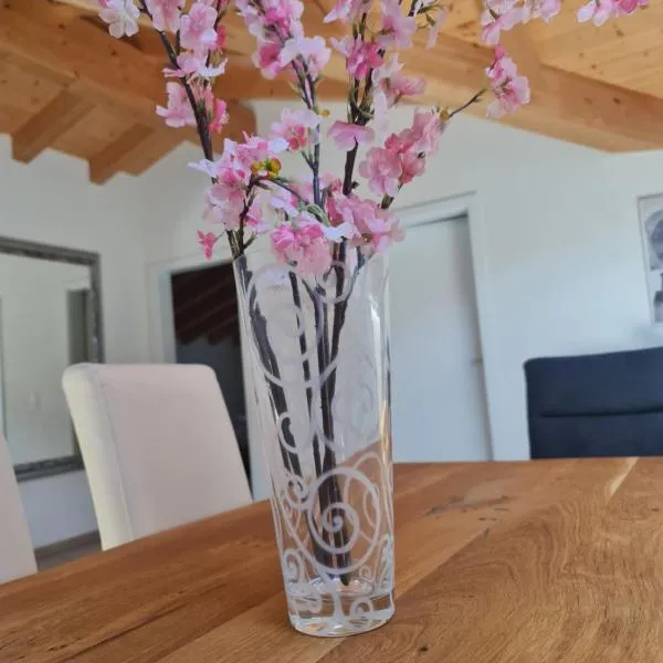 Jungfrau Penthouse - Aare Jungfrau AG, hotel v destinaci Wilderswil