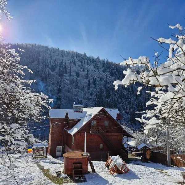 Pensiunea Cabana Viselor ,Apuseni, hotel em Vadu Moţilor