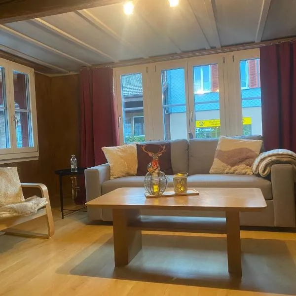 Cosy apartment in heritage protected swiss chalet, hotel v destinaci Interlaken