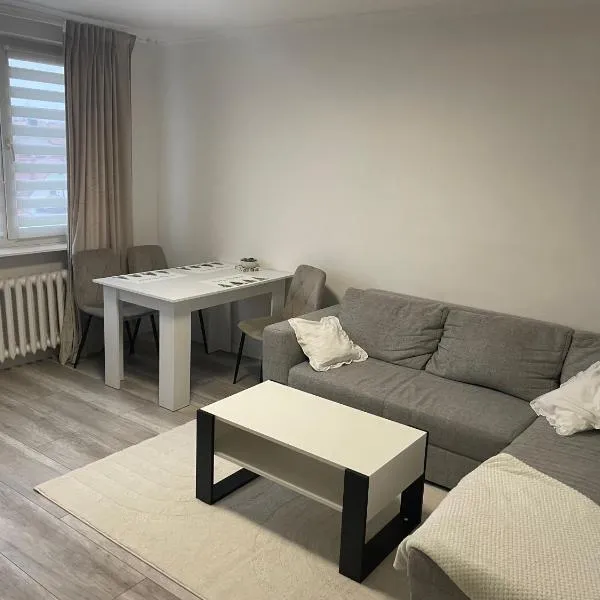 Apartament 2 pokojowy w Centrum Miasta, hotel v destinaci Záhaň