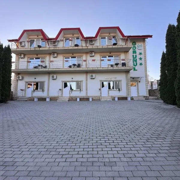 Hotel Gorunul, hotel v destinaci Hunedoara