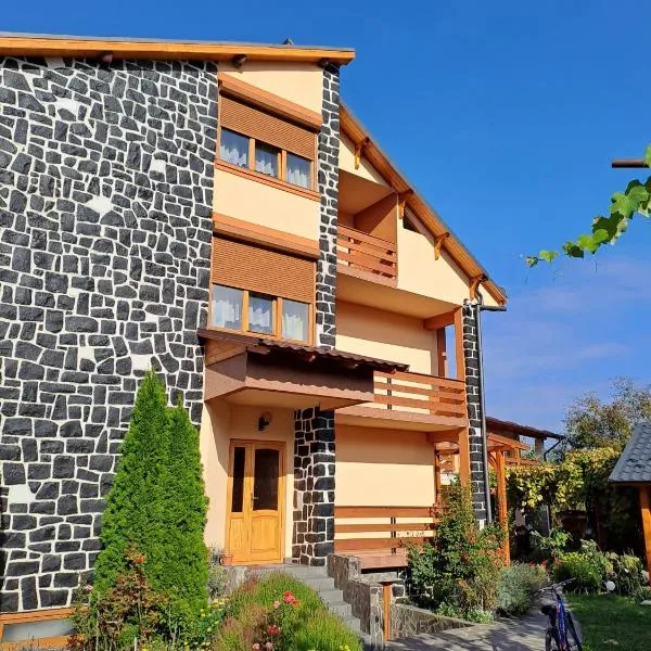 TaniRoom, hotel v destinaci Sighetu Marmaţiei